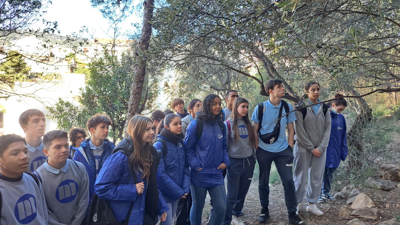 INICI CONSULTA OBERTA CURS 25-26