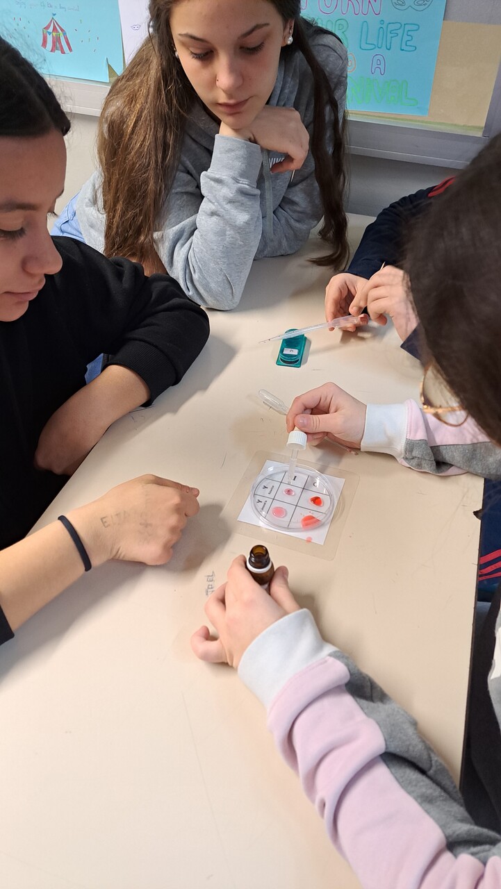 INICI CONSULTA OBERTA CURS 25-26